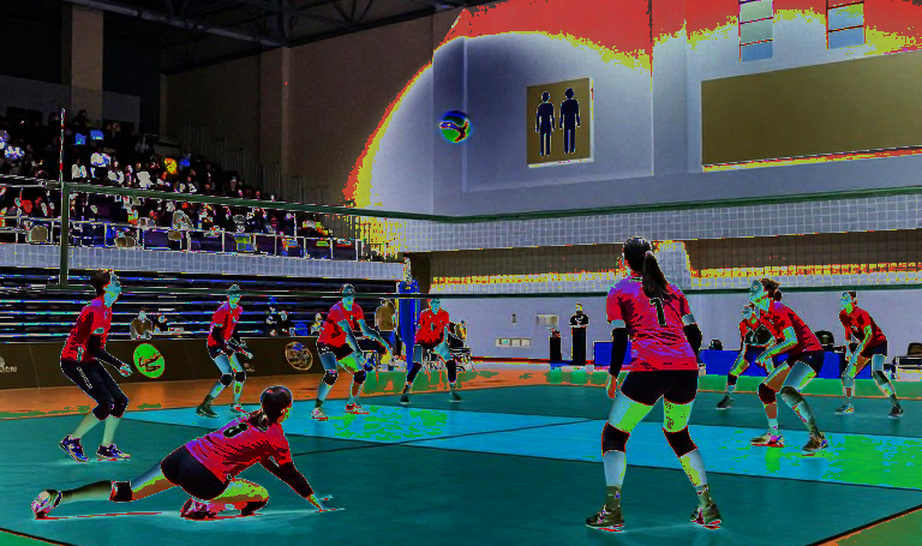 MOP bóng chuyền nữ NCAA 2026-2026: vị trí thi đấu, các đại học hoàng gia và con đường ra bãi biển