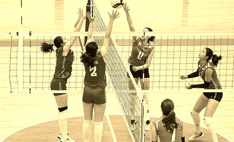 AVP League 2026: Khi tay chặn bóng số một bị khóa chặt và lão tướng 46 tuổi tái sinh