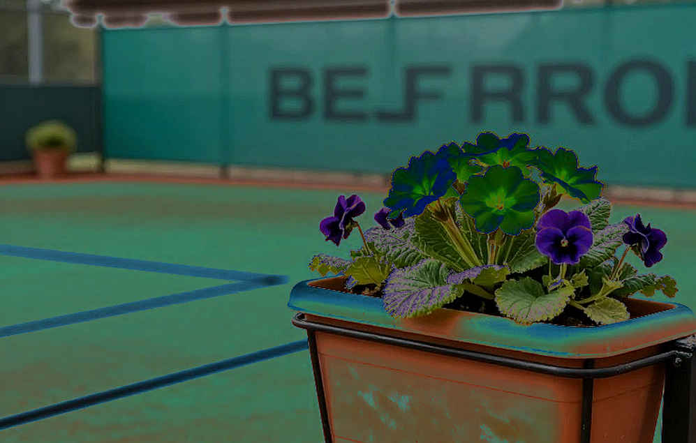 Rybakina, Ningbo và một mùa hai Grand Slam bị kể như câu chuyện WTA 500 Rybakina, Ningbo và một mùa hai Grand Slam bị kể như câu chuyện WTA 500