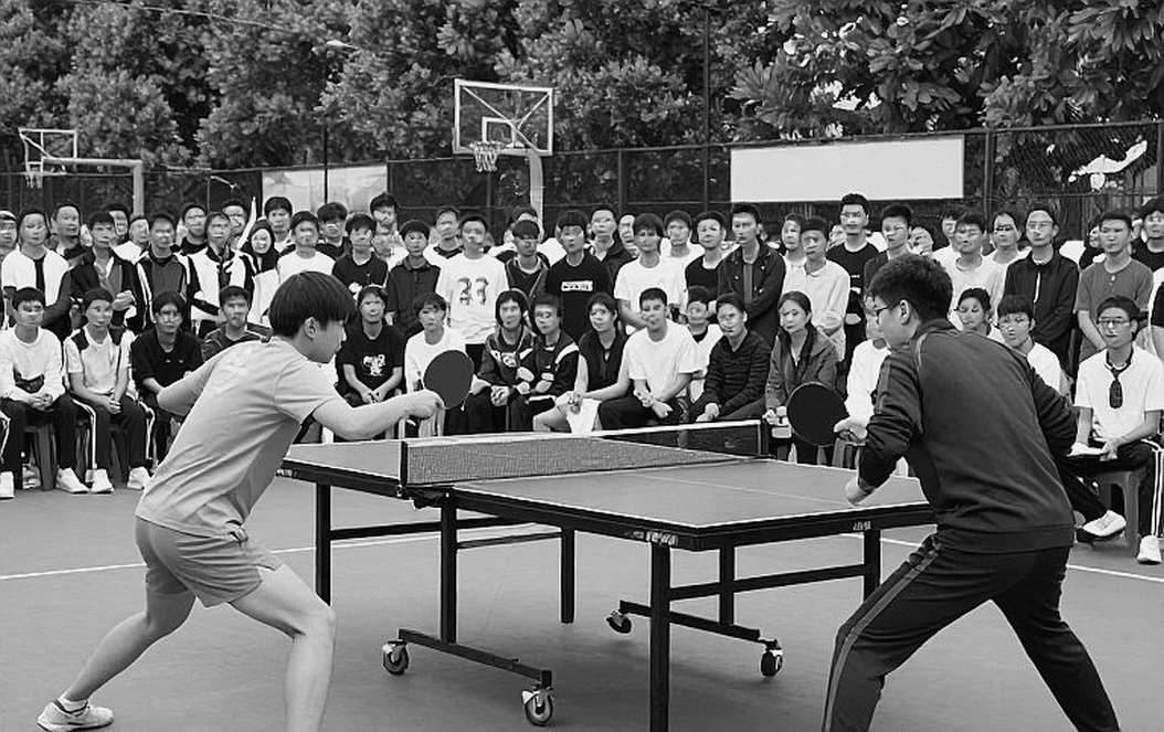 Table Tennis England Và Cấu Trúc Tài Chính Cơ Sở: Khi Phí Hội Viên Nuôi Cả Hệ Thống