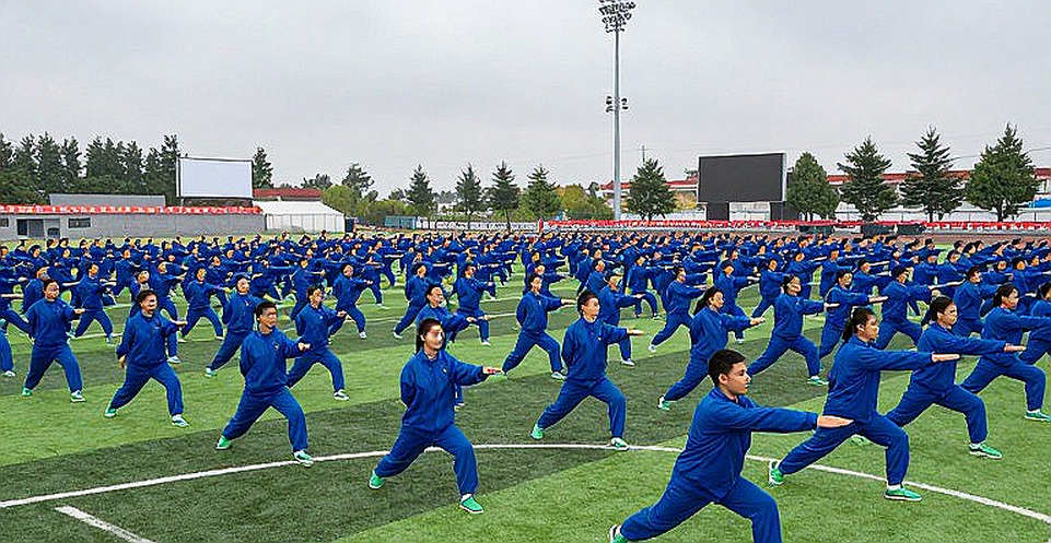 Chuncheon 2026: Ba HCV poomsae của Việt Nam đều đến từ đồng đội — tín hiệu gì trước Asiad 2026